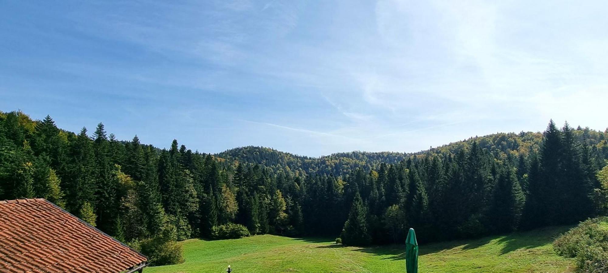 Planinski Dom Na Travni Gori Sodrazica Eksteriør billede